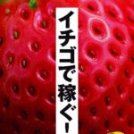 いちごのうどん粉病とは 特徴や原因 対策 うどんこ病 株式会社イチゴテック