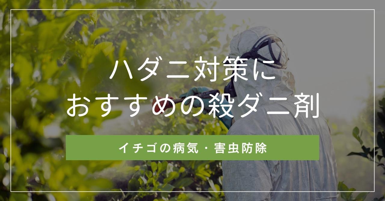 いちご栽培のハダニ防除に効くおすすめのダニ剤農薬【気門封鎖型,回数無制限,天敵製剤,UV-B】 | 株式会社イチゴテック