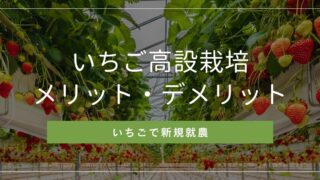 いちごの高設栽培とは？高設ベンチの種類とメーカー選び方,メリット・デメリット,10aの収穫量と価格 | 株式会社イチゴテック