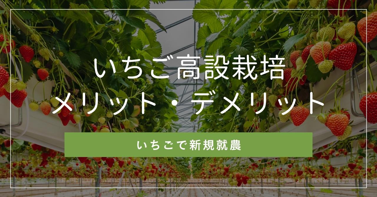 いちごの高設栽培とは？高設ベンチの種類とメーカー選び方,メリット