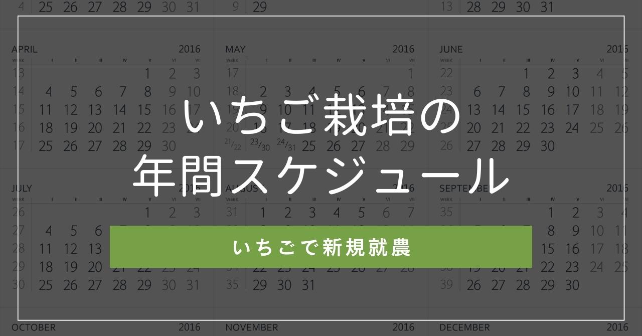 いちご栽培の年間スケジュールは？何月が忙しい？いちご農家の