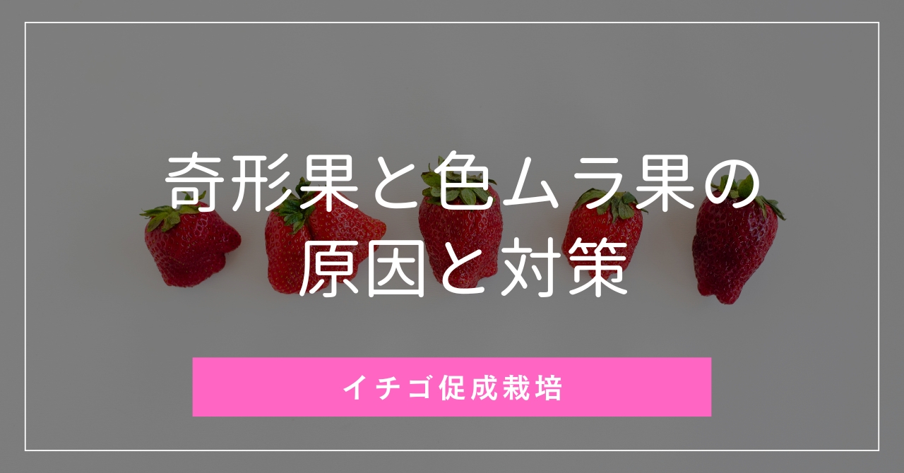 71bba69e7e2ff320129fa48c61f77b