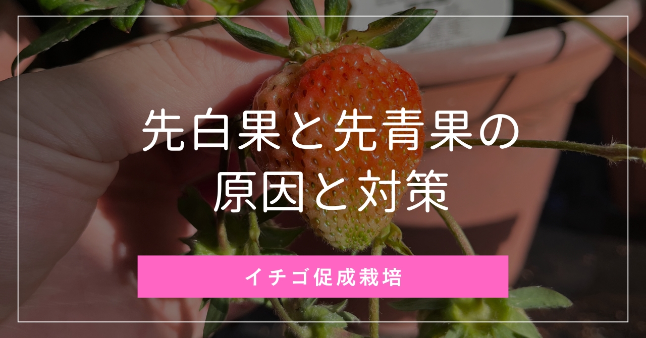 bb196cdd5ef41530735142c44000f2