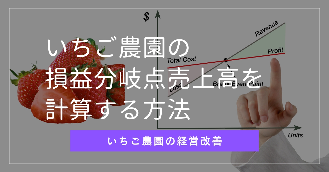 いちご農園経営者必見！損益分岐点売上高を計算する方法と農業特有の