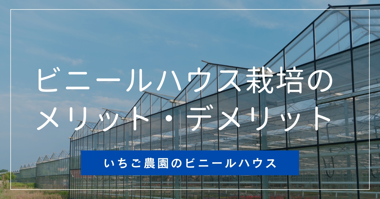 ビニールハウスを使った農業（ハウス栽培）のメリット・デメリット | 株式会社イチゴテック