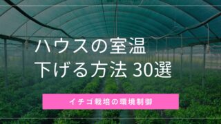 0ecca98bb10de3194369385100f151