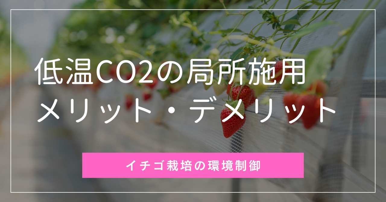 イチゴの低温二酸化炭素の局所施用のメリット・デメリット | 株式会社  