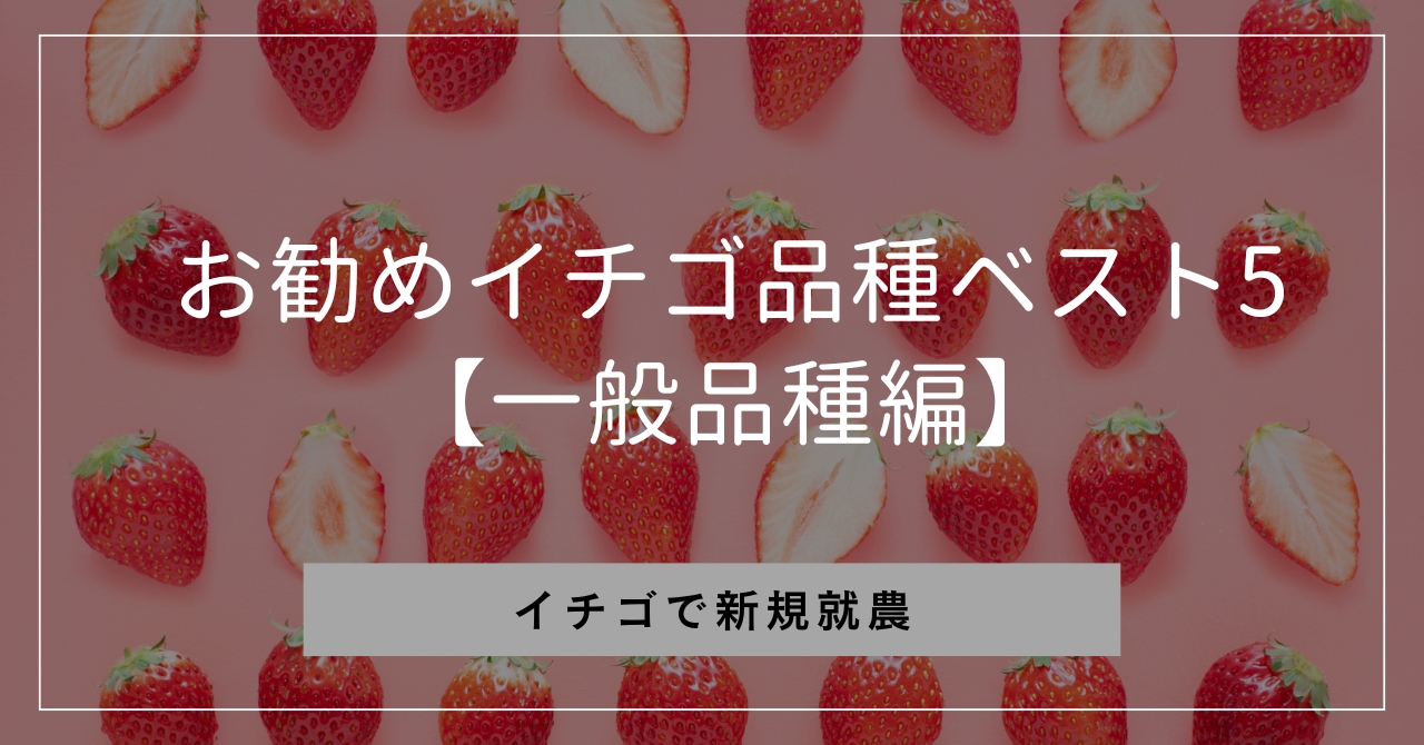 毒苺　14000円　手渡し分 究極のいちごジェラート 3種6個セット | 猪野さんちのいちご農園｜産直