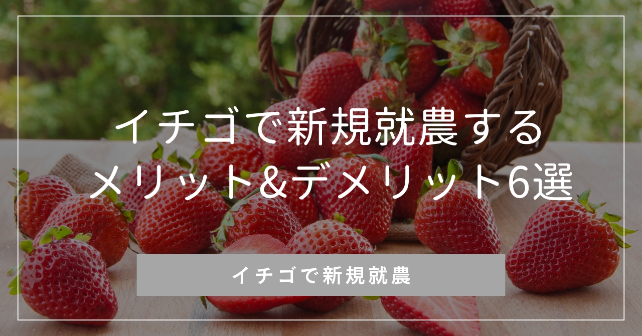 イチゴで新規就農するメリット&デメリット6選 | 株式会社イチゴテック