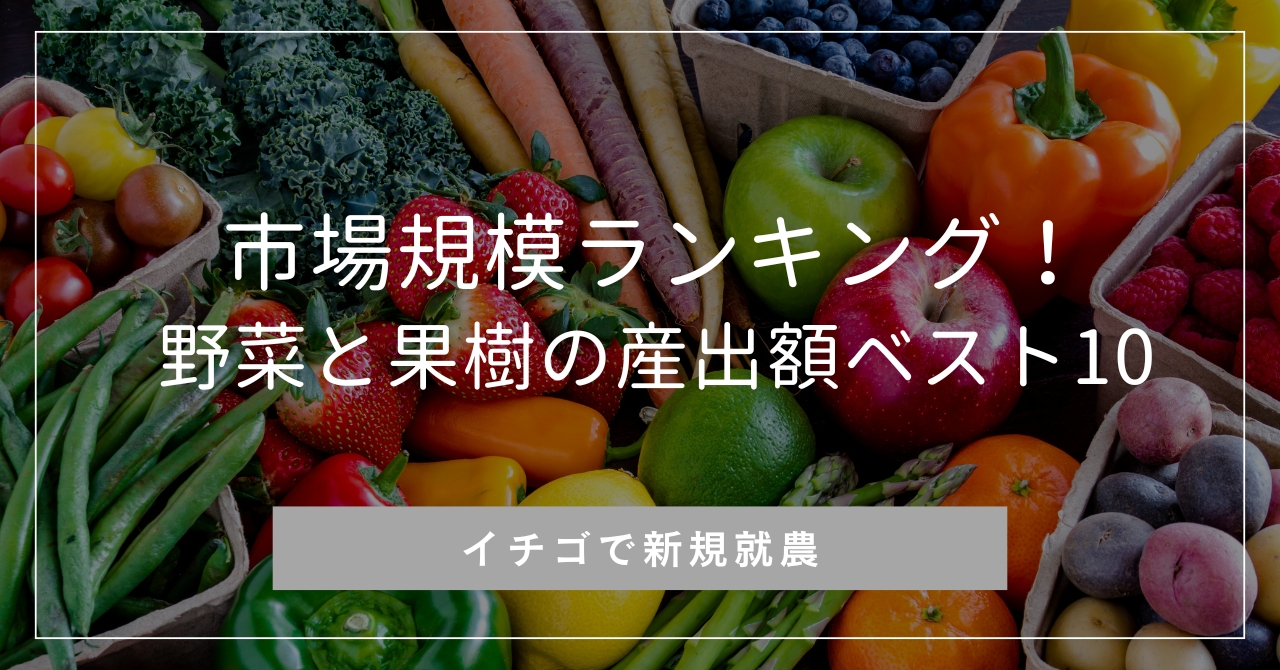 農作物の市場規模ランキング！野菜と果樹の産出額ベスト10 | 株式会社イチゴテック